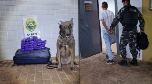 Adolescente de 17 anos é apreendido com mais de 17 kg de maconha em ônibus na rodoviária Imagem referente a Adolescente de 17 anos é apreendido com mais de 17 kg de maconha em ônibus na rodoviária