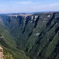 Planejamento da segurança em parques reduz riscos, mas não os elimina Imagem referente a Planejamento da segurança em parques reduz riscos, mas não os elimina