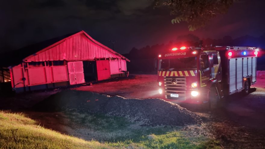 Tragédia no campo: fogo destrói aviário e elimina 21 mil pintainhos em Cascavel