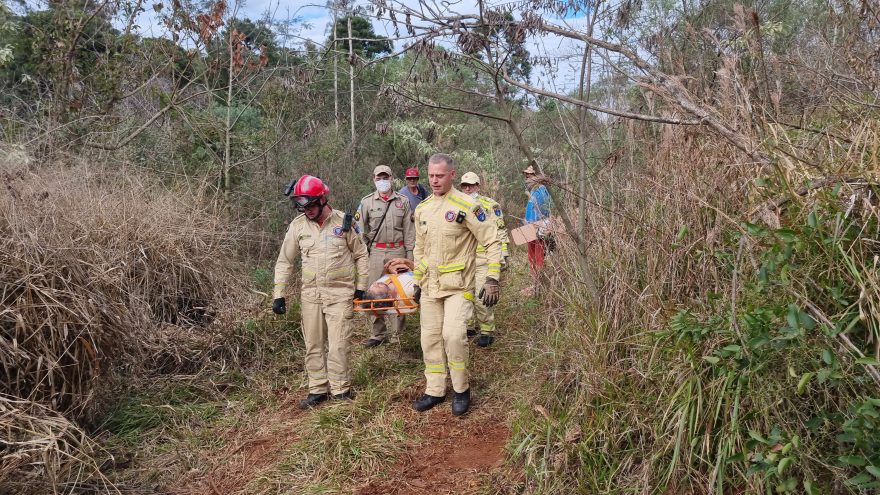Durante derrubada de árvores, trabalhador tem lesão grave ao ser ‘chicoteado’ por cabo de aço