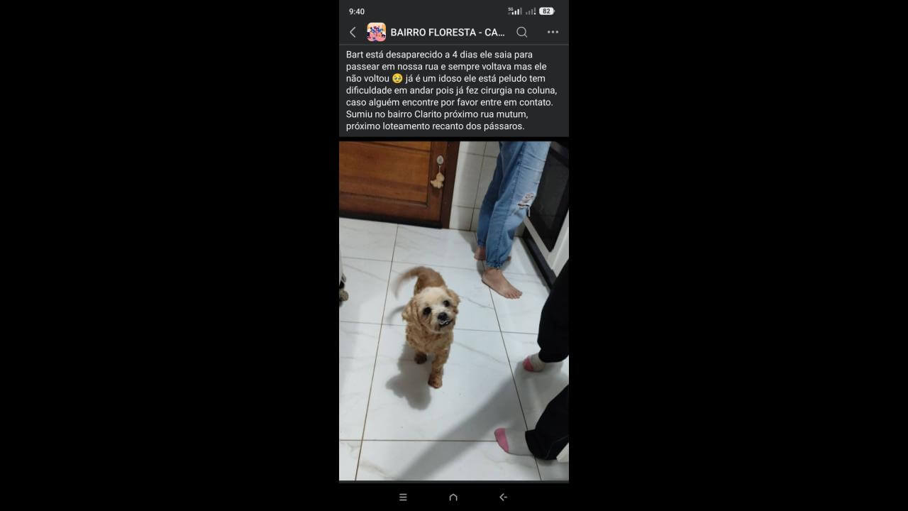 Cachorro Barr desapareceu no bairro Colonial Cachorro Barr desapareceu no bairro Colonial