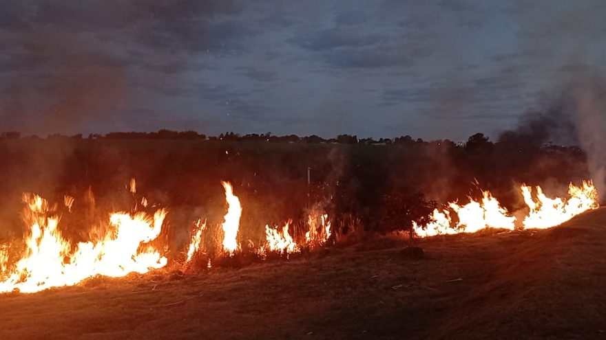 Incêndio consome área de vegetação perto do salão comunitário do Riviera