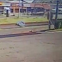 Imagem referente a Câmera registra carro quase tombando em acidente na BR-277 em Cascavel