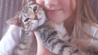 Imagem referente a Gata Estrelinha desapareceu no bairro Florais do Paraná