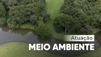 Atuação do Ministério Público do Paraná resulta na aprovação do Plano Municipal de Arborização Urbana de Curitiba