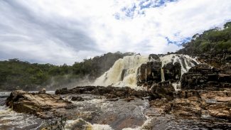 Sistema Nacional de Unidades de Conservação da Natureza faz 25 anos