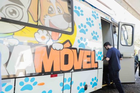 Castramóvel registra 45% de faltosos que comprometem andamento do serviço de castrações gratuitas Imagem referente a Castramóvel registra 45% de faltosos que comprometem andamento do serviço de castrações gratuitas