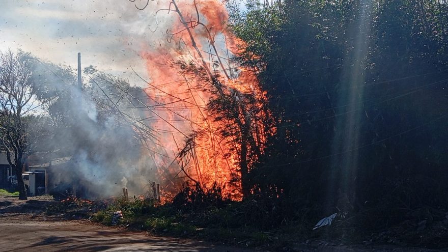Fogo em bambuzal ameaça casas e assusta moradores no Santa Cruz 