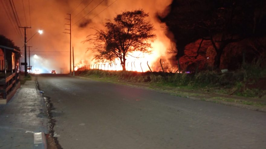 Grande incêndio em vegetação é registrado em Cascavel durante a madrugada