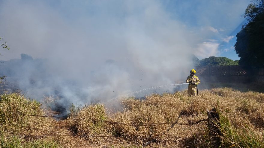 Incêndio ambiental mobiliza Bombeiros na Avenida Carlos Gomes