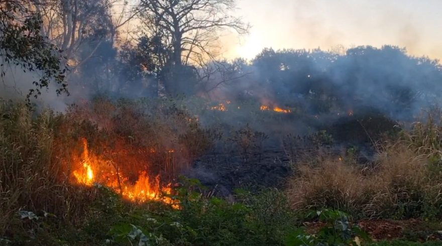 Incêndio em vegetação gera grande nuvem de fumaça no bairro Santa Cruz, em Cascavel