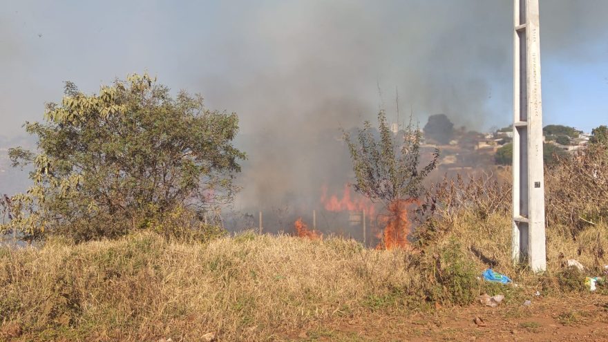 Incêndio atinge área de vegetação e mobiliza Corpo de Bombeiros no bairro Sanga Funda, em Cascavel
