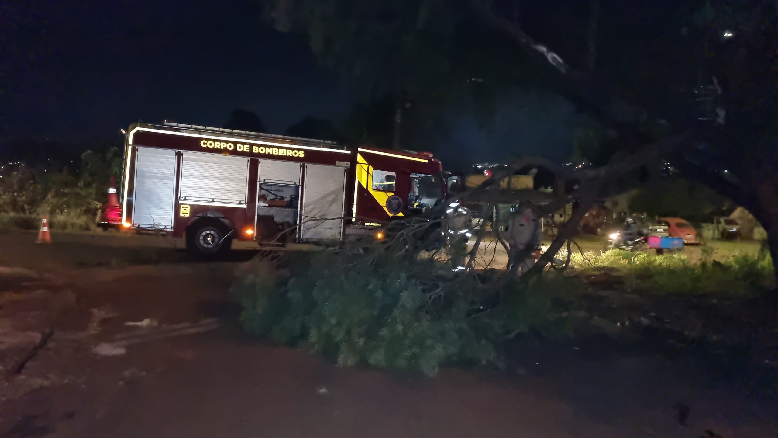 Queda de árvore mobiliza bombeiros no Bairro XIV de Novembro em Cascavel Queda de árvore mobiliza bombeiros no Bairro XIV de Novembro em Cascavel