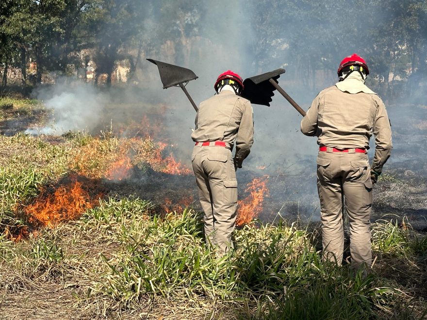 Chamas assustam moradores e Bombeiros agem rápido no Brasmadeira