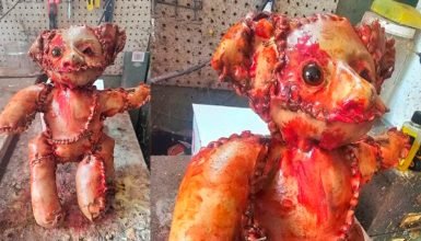 Imagem referente a Urso de pelúcia feito de “pele humana” assusta moradores e mobiliza polícia e IML