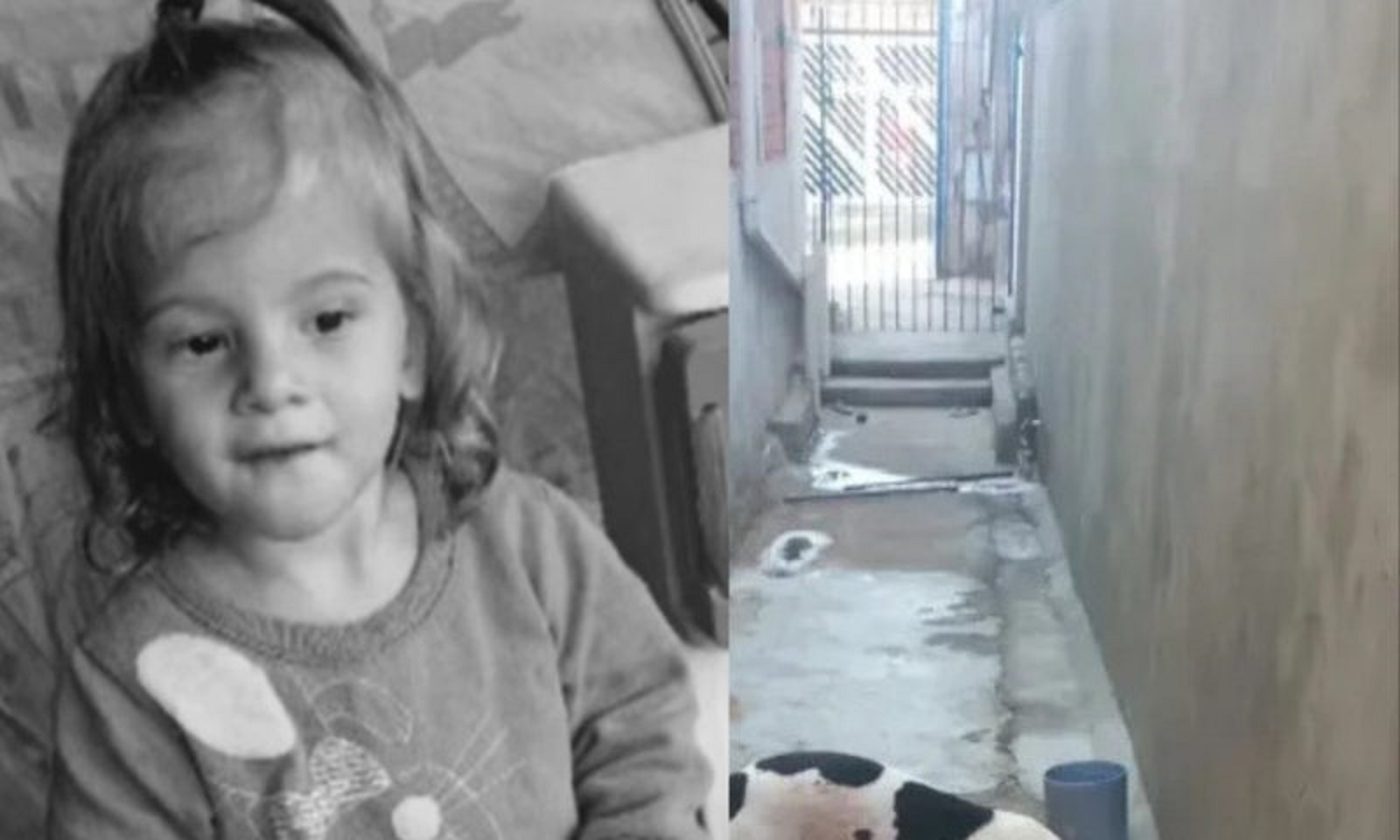 IMAGENS FORTES: PM precisou atirar em cachorro que matou criança de dois anos