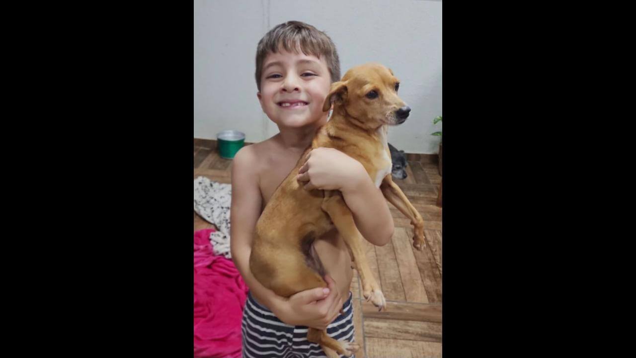 Cachorra Manu desapareceu no bairro Cancelli
