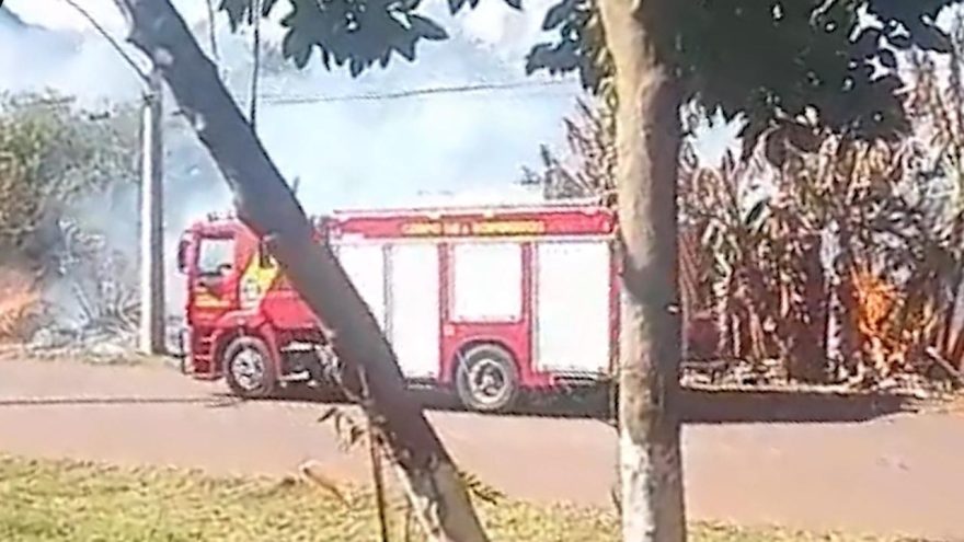 Bombeiros combatem incêndio em vegetação em lote baldio no Turisparque