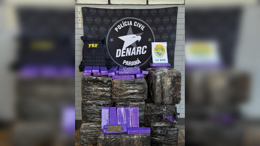 Quase meia tonelada de maconha é apreendida em uma ação conjunta