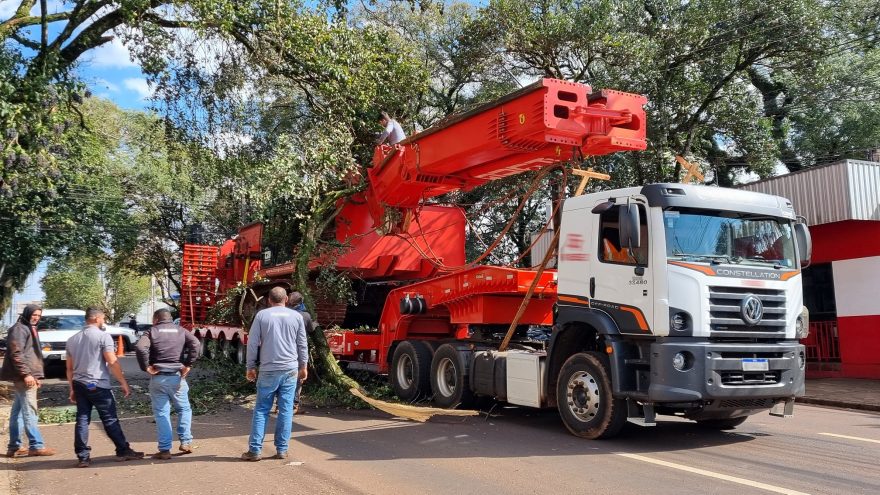 Maquinário transportado em caminhão enrosca em árvore e causa transtornos no Centro de Cascavel