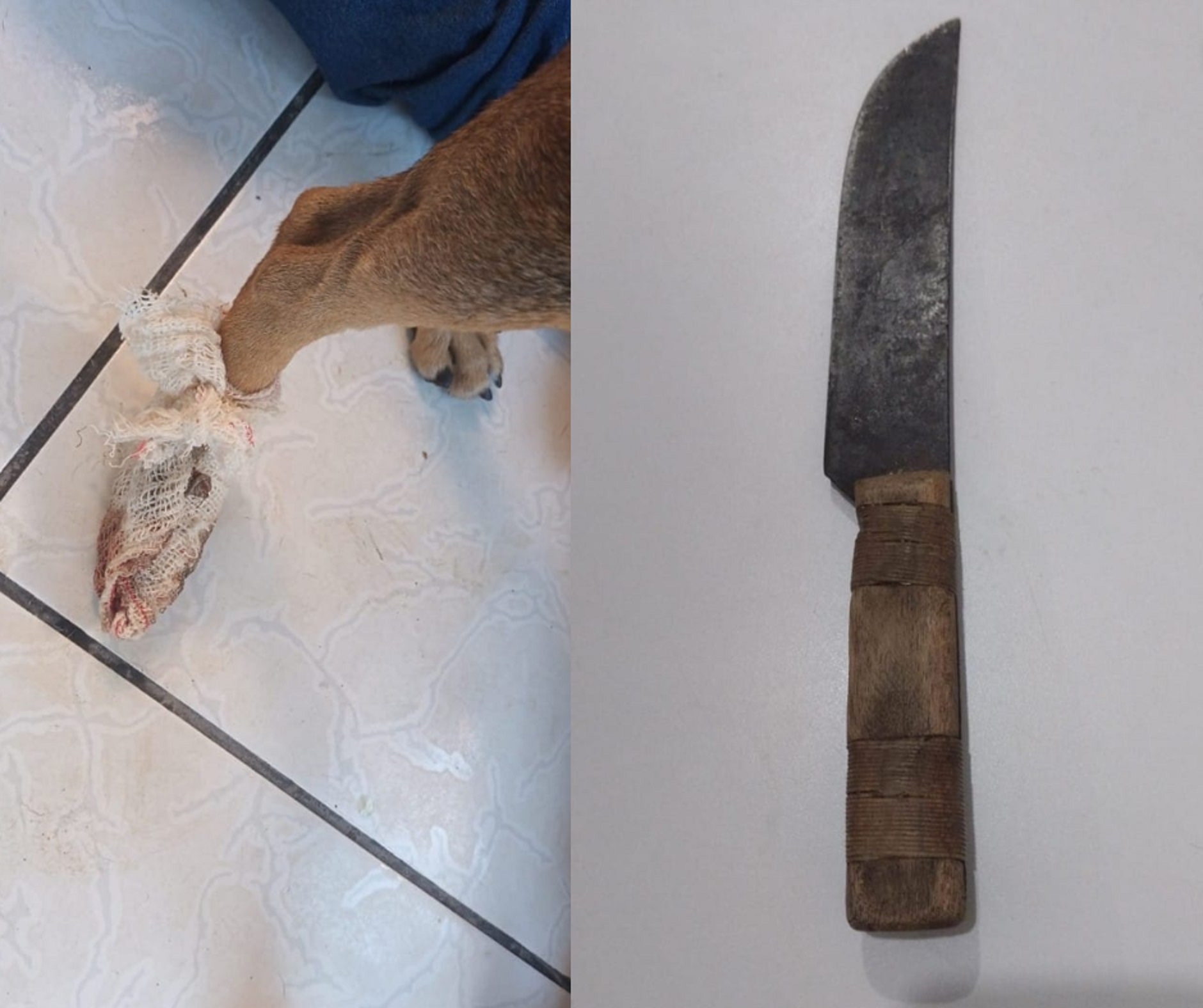 Homem é preso após ameaçar familiares e agredir animal de estimação