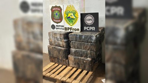 Imagem referente a Polícia estoura porto clandestino e apreende quase meia tonelada de maconha em Foz 