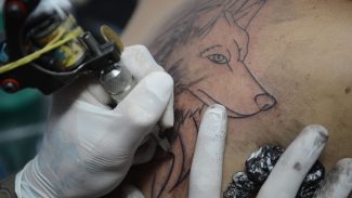 CFM proíbe anestesia para a realização de tatuagens