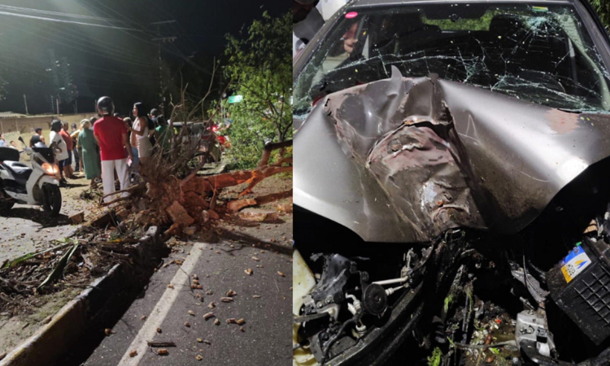 Madrugada de terror: carro arranca árvore e deixa duas mulheres feridas