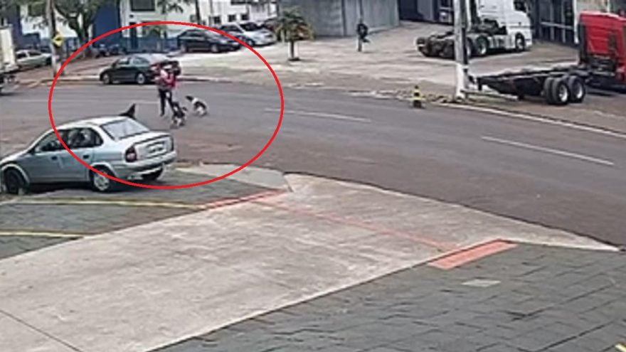 Mulher e criança são atacadas por cachorros em Cascavel