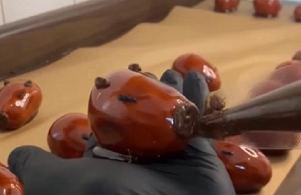 Capivara do Amor: morango com brigadeiro viraliza e faz fila no Paraná Capivara do Amor: morango com brigadeiro viraliza e faz fila no Paraná