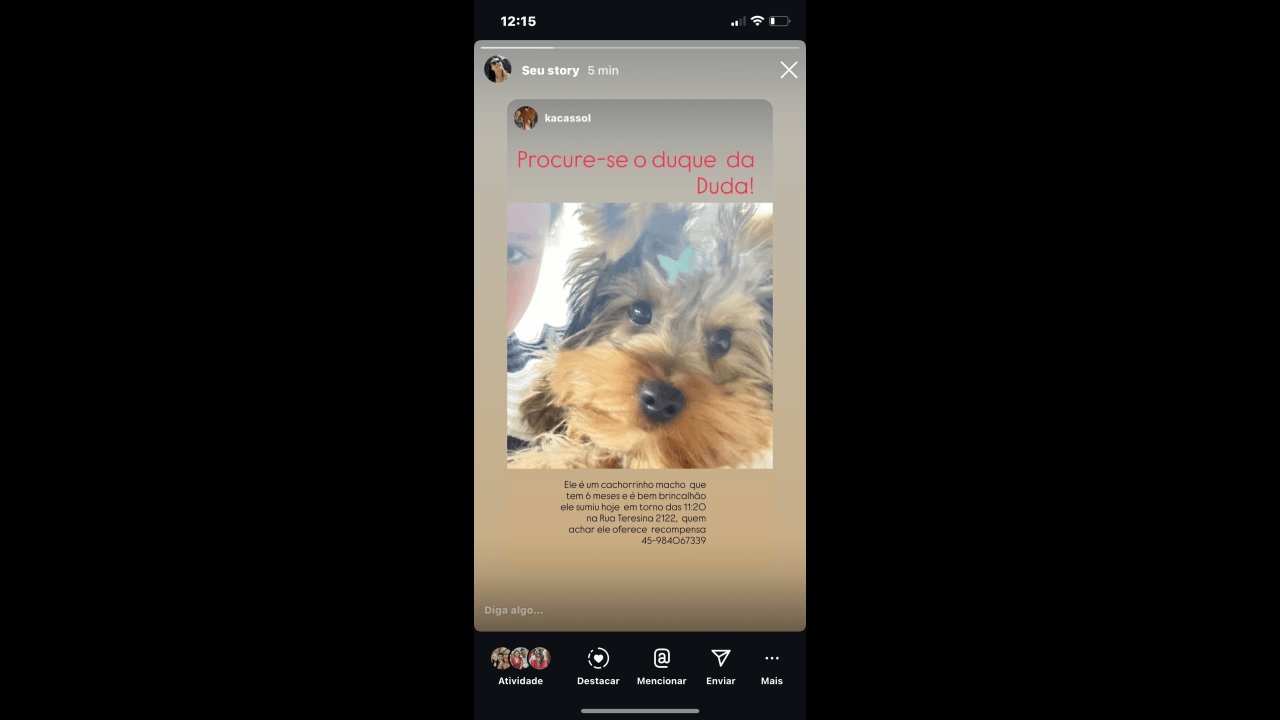Cachorro Duque desapareceu no bairro Claudete