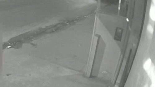 Imagem referente a Vídeo flagra colisão fatal entre ônibus e três carros no Jardim América