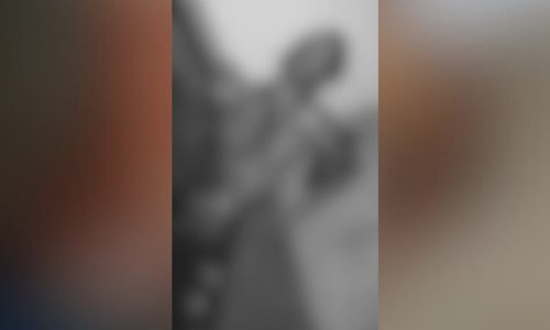 Imagem referente a Pato é morto a tiros e moradores vivem madrugada de terror