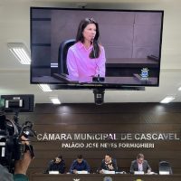 CPI do Imagem referente a CPI do