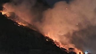 Lula lamenta morte de servidores do IBGE em combate a incêndio