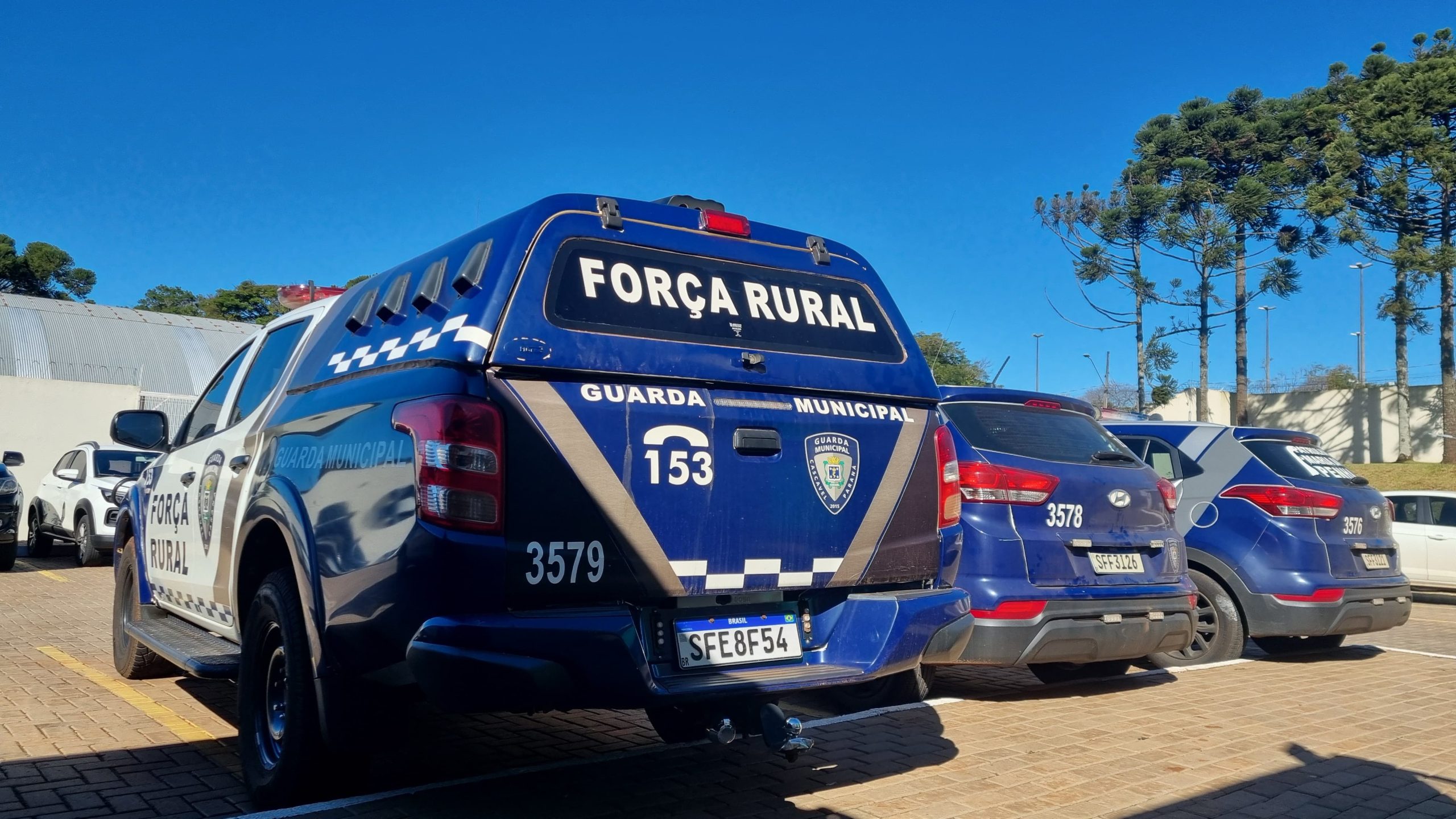 Após supostamente ser agredida pelo marido, mulher tenta 'salvar' companheiro e vai parar na delegacia