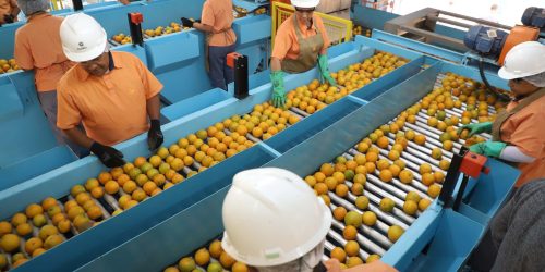 Confira a lista de quase 700 produtos que não serão taxados pelos EUA Confira a lista de quase 700 produtos que não serão taxados pelos EUA