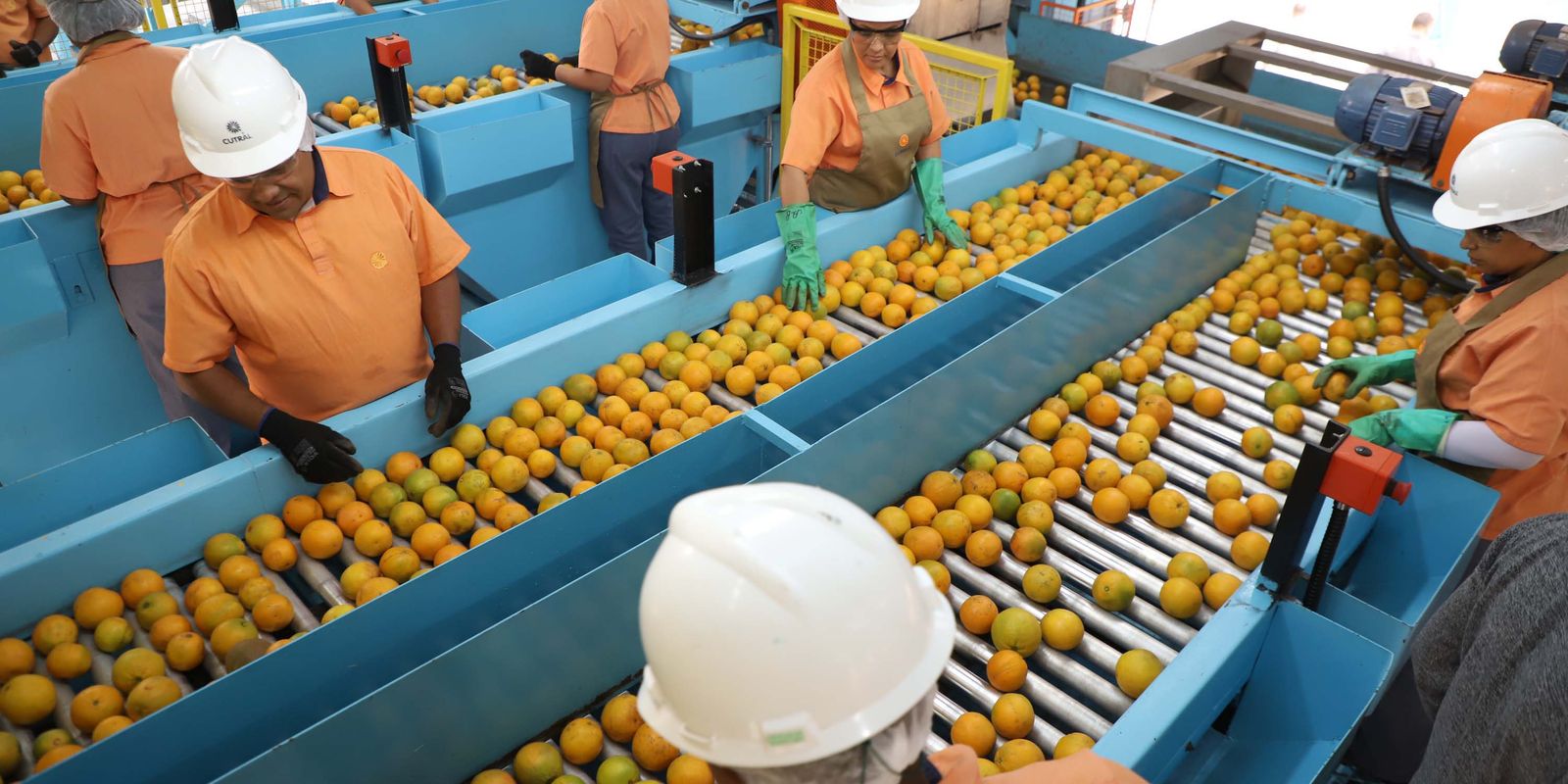 Confira a lista de quase 700 produtos que não serão taxados pelos EUA Confira a lista de quase 700 produtos que não serão taxados pelos EUA