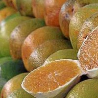 Imagem referente a Exceções do tarifaço representam 43,4% do valor exportado aos EUA