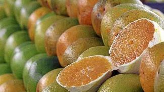 Exceções do tarifaço representam 43,4% do valor exportado aos EUA