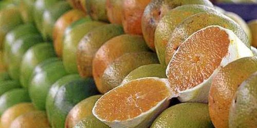 Imagem referente a Exceções do tarifaço representam 43,4% do valor exportado aos EUA