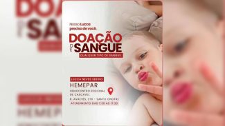Menino que sobreviveu a tragédia na BR-369 precisa de doação de sangue