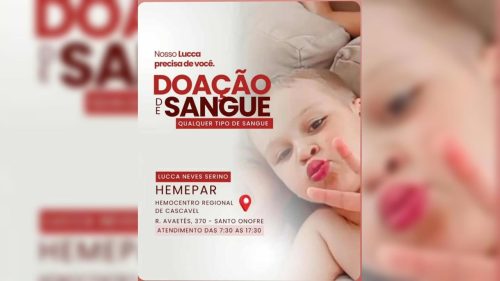 Imagem referente a Menino que sobreviveu a tragédia na BR-369 precisa de doação de sangue
