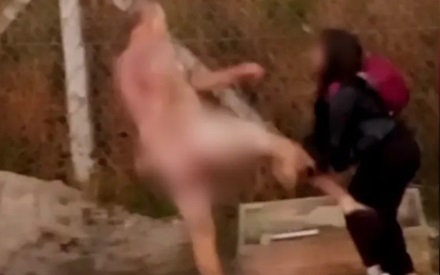 Professora é agredida por homem pelado no Paraná
