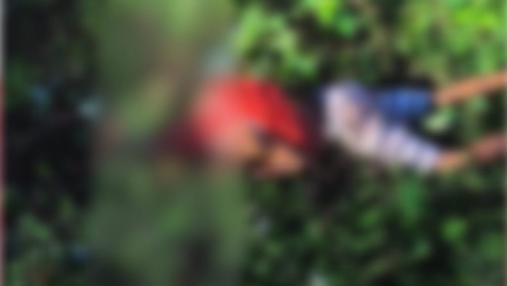 Veja o momento em que homem é morto a pauladas por ‘Risadinha’ em povoado Veja o momento em que homem é morto a pauladas por ‘Risadinha’ em povoado