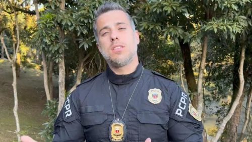 Covardia sem perdão! Vídeo de agressão choca e leva à operação para salvar cães em Curitiba