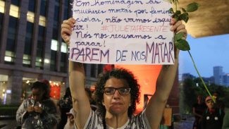 Feminicídios crescem em SP no 1º semestre, revela Segurança Pública