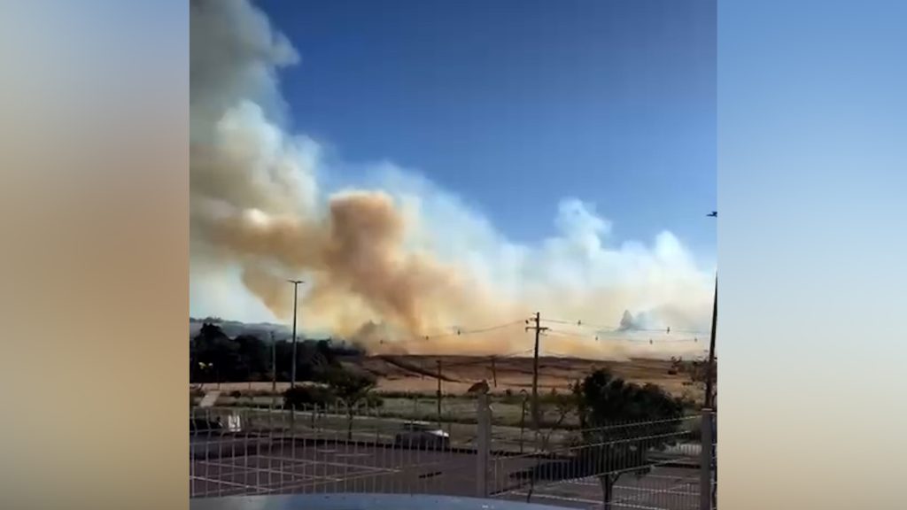 Milharal pega fogo ao lado do aeroporto de Cascavel