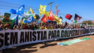 Em ato pró-soberania, manifestantes queimam bandeira e boneco de Trump