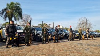 Cães farejadores disputam campeonato de detecção de drogas em Cascavel